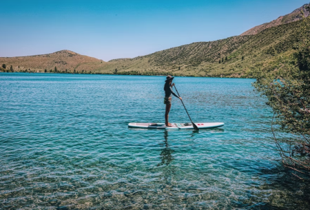 Category Image